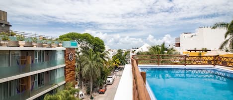 Outdoor pool, sun loungers
