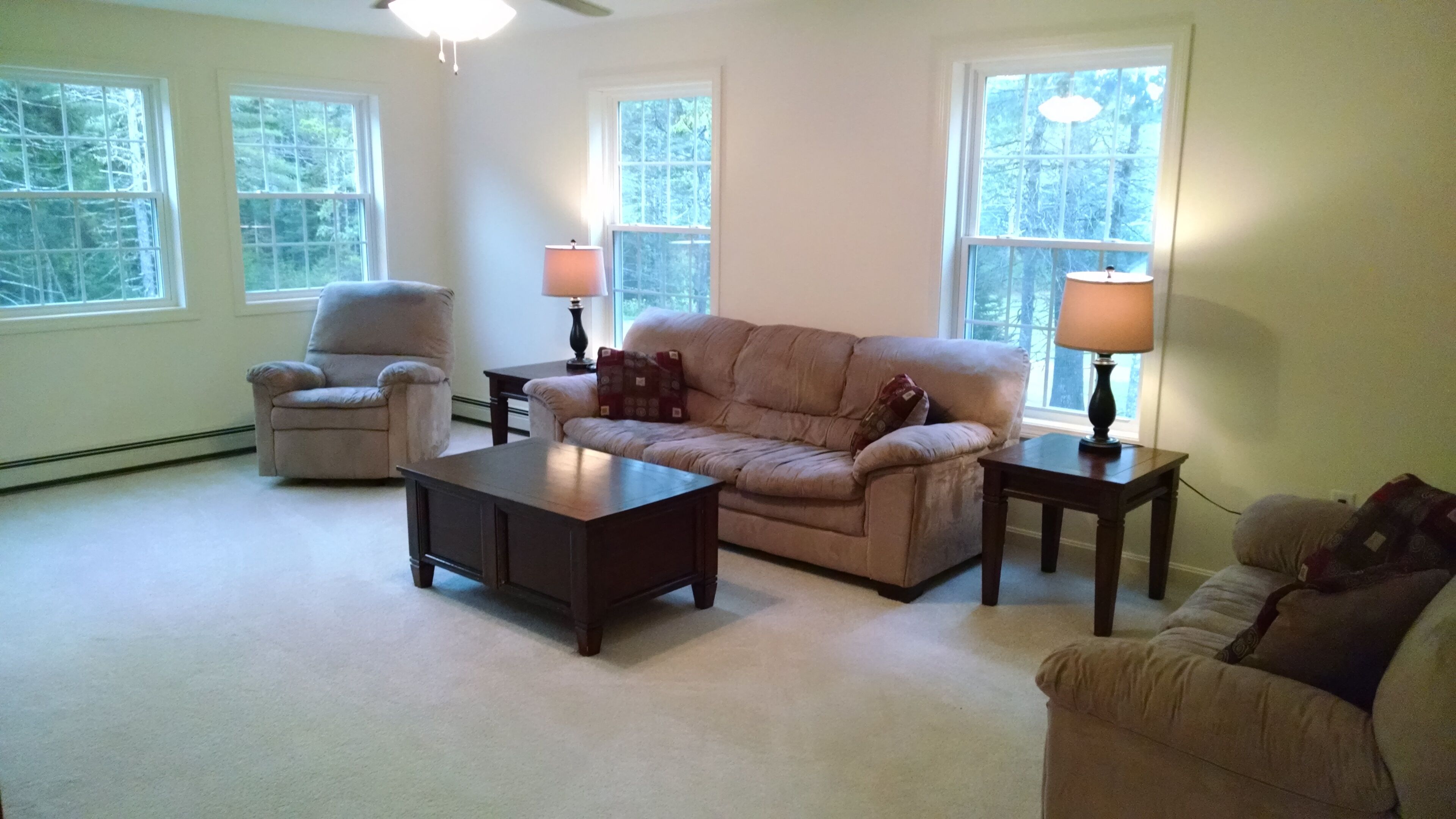 TV, DVD player, books, video library