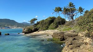 Un paysage côtier caractérisé par une eau d’un bleu limpide, des rivages rocheux et des palmiers.