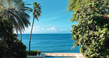 Private oceanfront estate with staff onsite and private beach for 2 - 20 guests