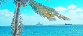 Your private oceanfront Estate with services options - up to 20p