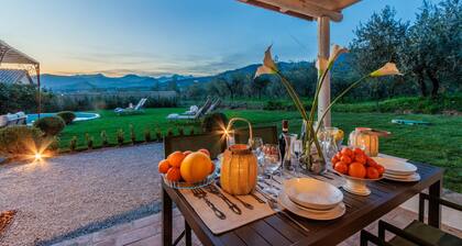 Typical Tuscan house: fenced garden 1000 Sqm, Air conditioning, pool, Views,