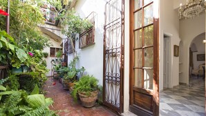 A narrow courtyard with potted plants, a wooden door with a metal gate, and a tiled floor.