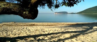 Alghero - Old Town - Palazzo D'Albis with 3 bedrooms and 2 bathrooms