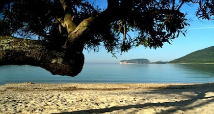 Alghero - Old Town - Palazzo D'Albis with 3 bedrooms and 2 bathrooms