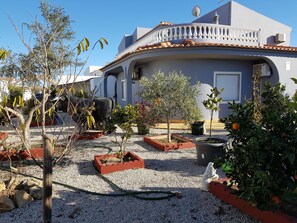 Enjoy a peaceful stay in this beautifully maintained garden, surrounded by lush potted plants and a balcony with a view.