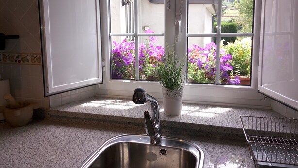 Una cocina con un lavamanos de acero inoxidable, una planta en maceta en el alféizar de la ventana y vistas a un jardín con flores moradas.