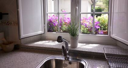 Housing for Tourist Use Carballo Blanco 1