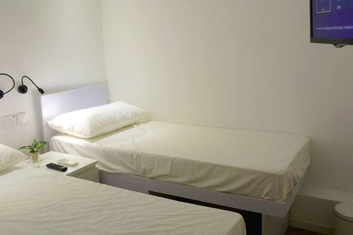 A bedroom with two single beds, a bedside table with a remote control, a small plant, and a wall-mounted TV.