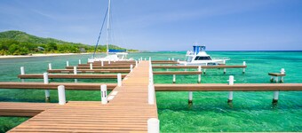 Lawson Rock - Angelfish 100