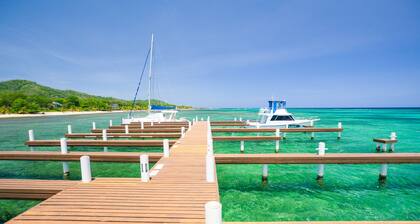 Lawson Rock - Angelfish 100