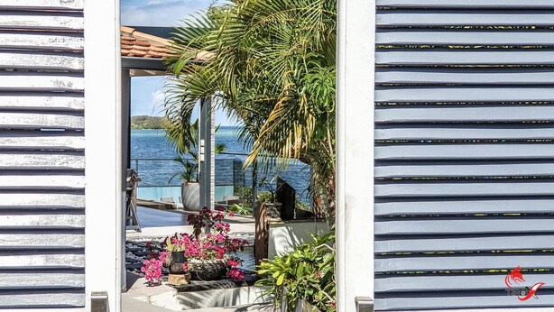 Blick durch eine Holztür auf einen Balkon mit Pool, umgeben von Blumentöpfen und Blumen.
