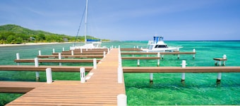 Lawson Rock - Parrotfish 106