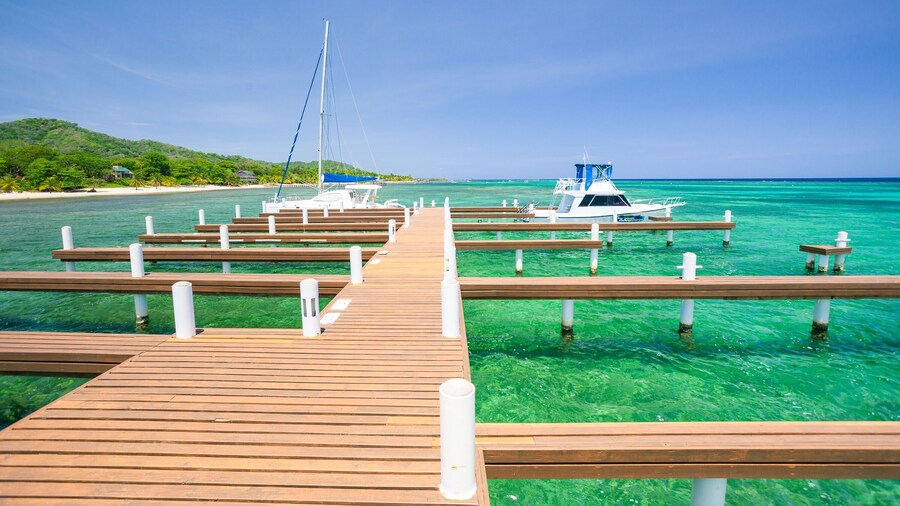 Lawson Rock - Parrotfish 106