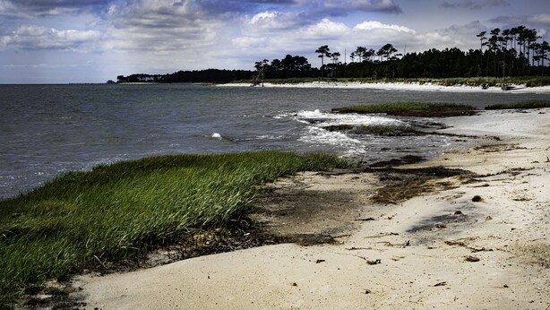 En strand med sandet bredde, græsarealer og en række træer i baggrunden.