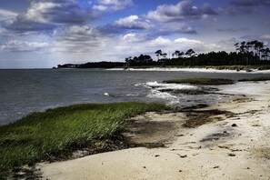 A beach with a sandy shore, grassy areas, and a line of trees in the background. - Heart of Irvington w/Fireplace Walk to Tides Inn &  restaurants - Dog friendly! (Irvington)