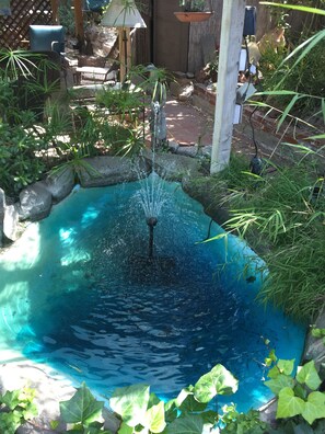 Property grounds - Charming Cottage Cottage, San Diego CA (San Diego)