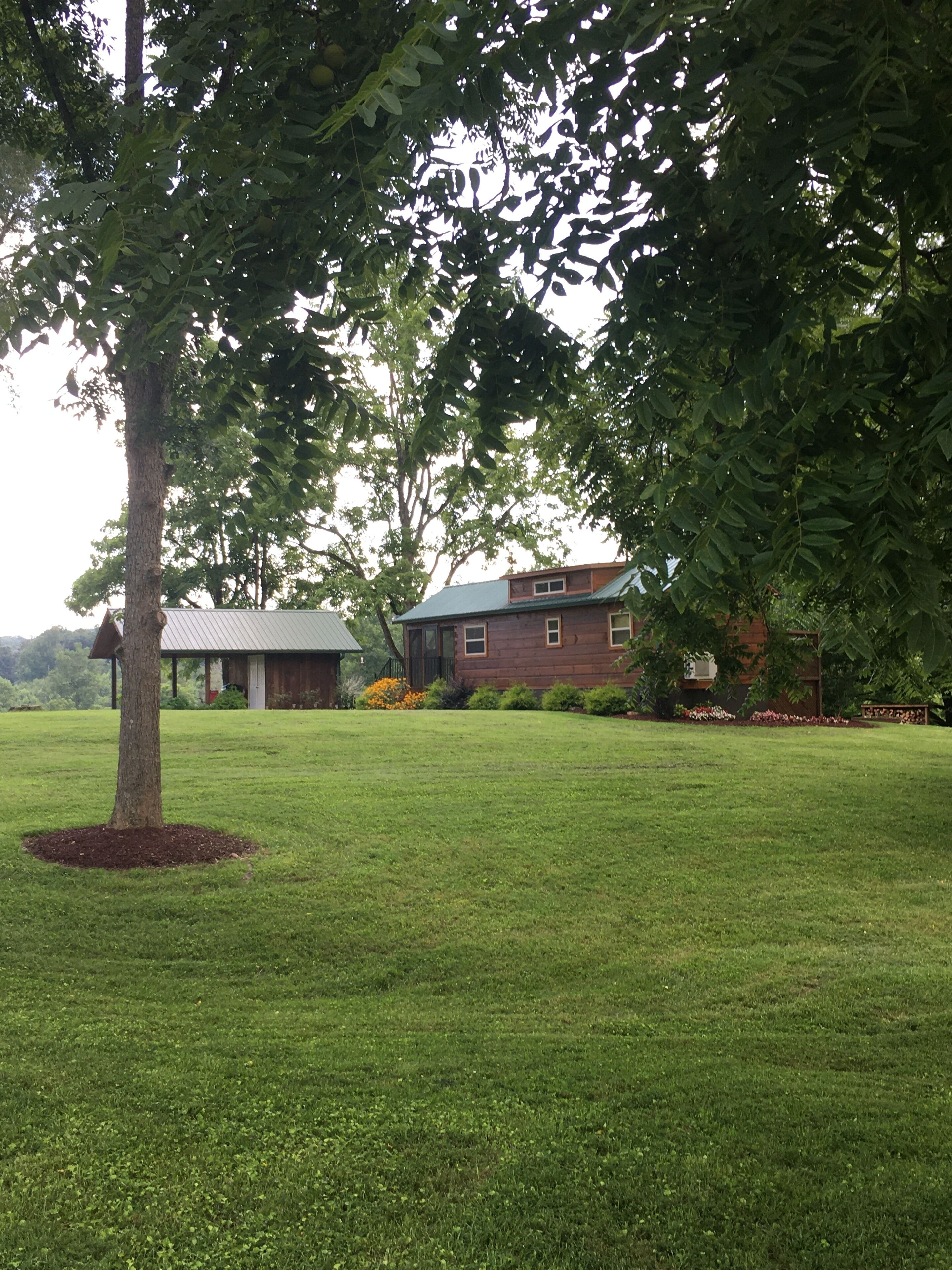 A grassy area with a tree and a building with a sloped roof.