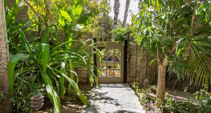 Beach and Ocean Views