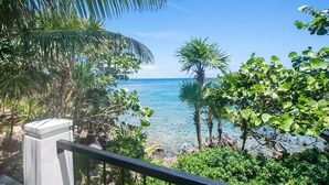 A coastal view with clear blue water, palm trees, and a white building structure.