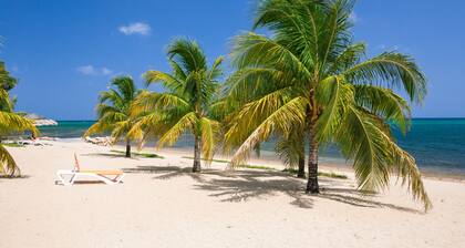 Lawson Rock - Angelfish 203