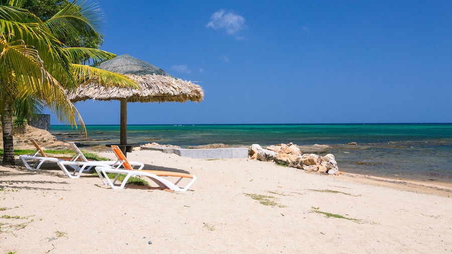 Lawson Rock - Angelfish 203