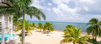 Lawson Rock - Angelfish 202