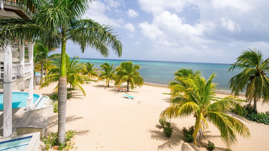 Lawson Rock - Angelfish 202