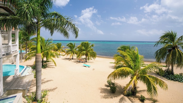 A beach with palm trees, a pool, and a view of the ocean. - Lawson Rock - Angelfish 202 (Roatan)