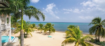 Lawson Rock - Angelfish 202