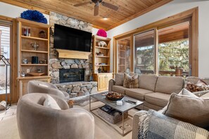 Smart TV, fireplace, books