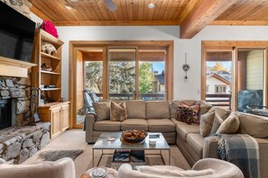 Smart TV, fireplace, books