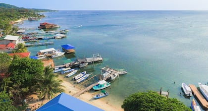 Bella Luna Beach House #64708