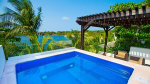 Une piscine avec vue sur l’océan et les palmiers.