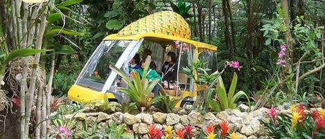 A yellow vehicle with a transparent roof, surrounded by tropical plants and a stone wall.