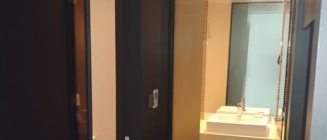 A modern bathroom with a glass shower enclosure, a white sink, and a large mirror.