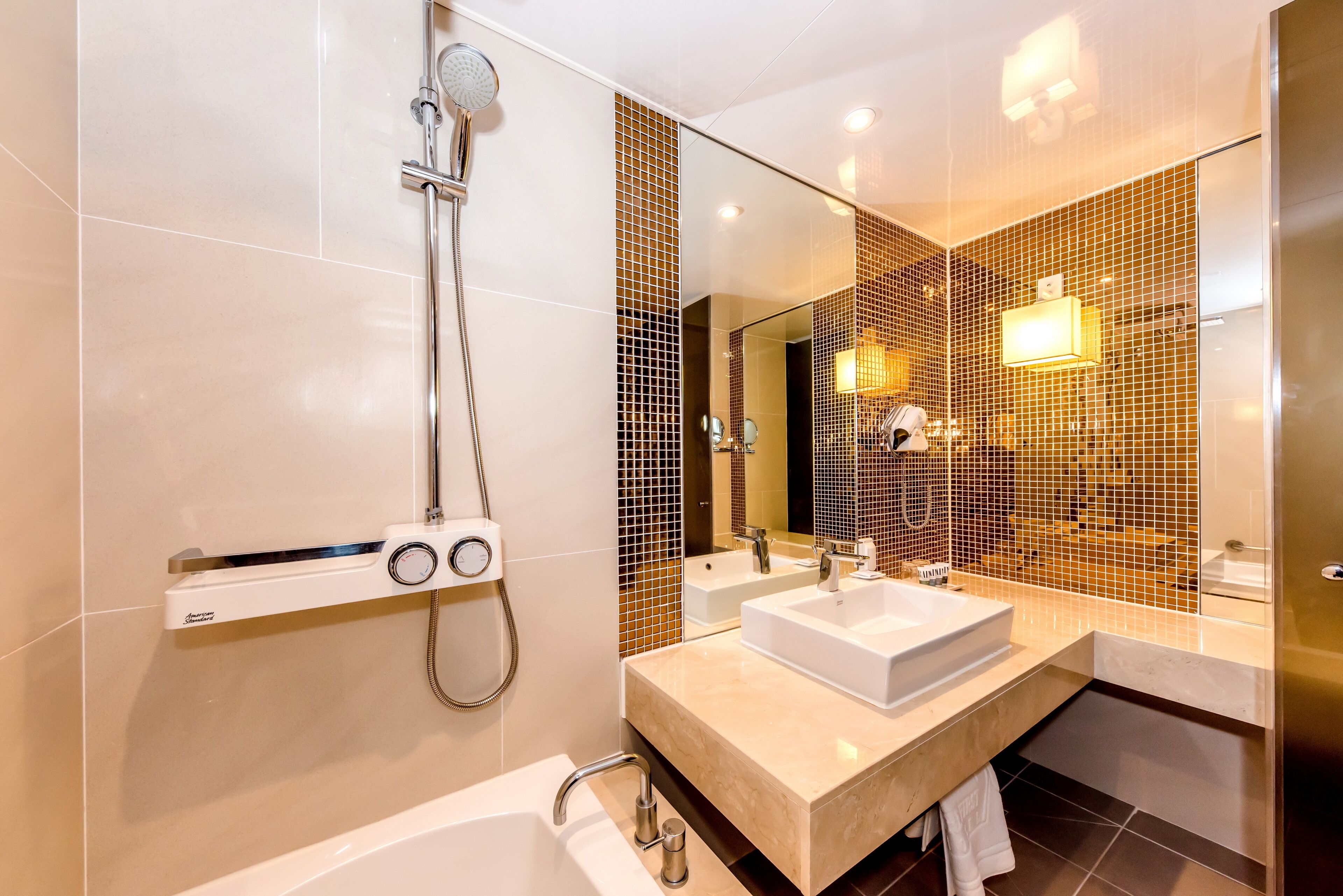 hair dryer, towels, soap, shampoo