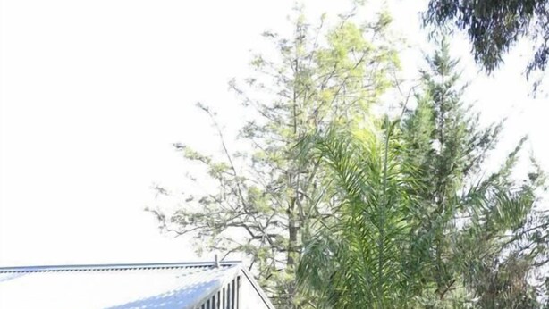 A modern house with a sloped roof, surrounded by dense greenery and flowering plants. - Moon House (Diamond Creek)