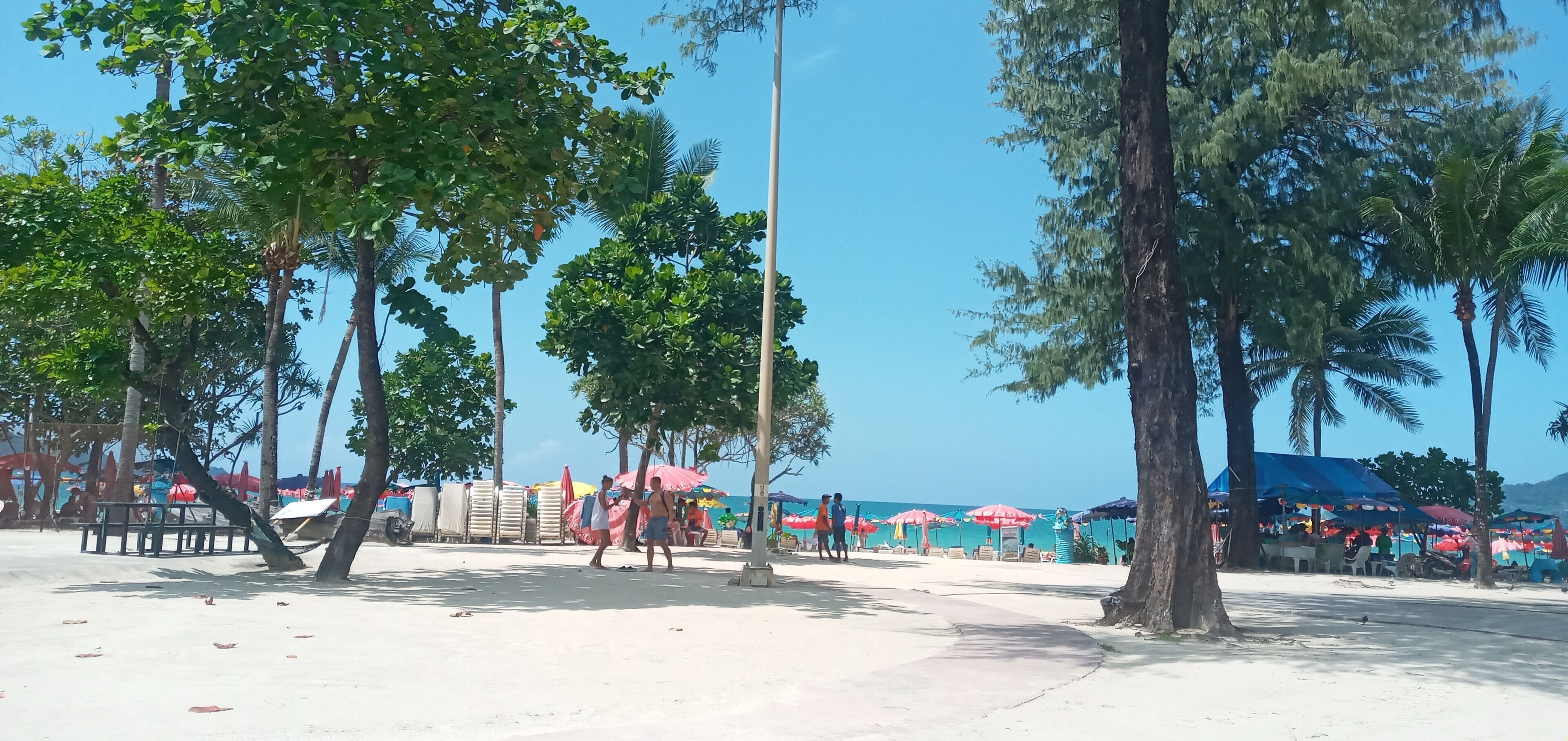 A beach area with trees, umbrellas, and beachgoers.
