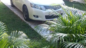 A white car parked on a paved driveway in a garden with lush greenery and a thatched-roof structure in the background. - Nishan Surf Inn (Matara)