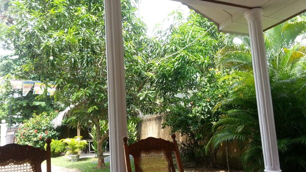 A covered outdoor area with a wooden chair and a table, surrounded by lush greenery and a white column structure. - Nishan Surf Inn (Matara)
