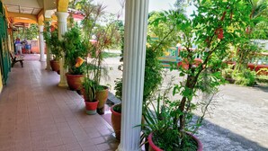 Uma galeria coberta com plantas em vasos e um banco.
