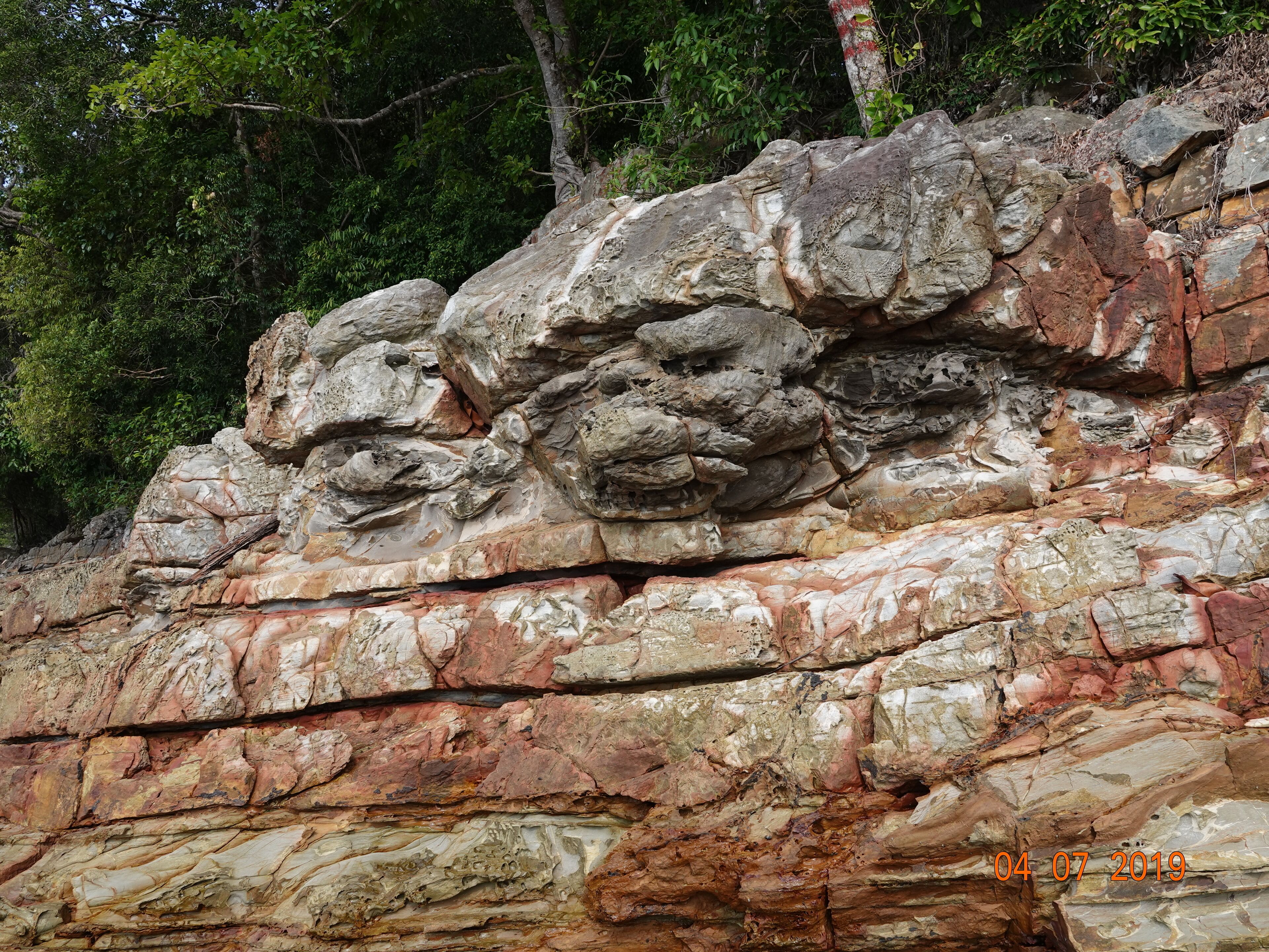 Foto - The Room Concept Homestay