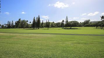 Appartement, 1 slaapkamer | Golf