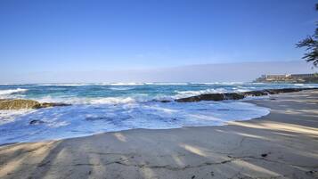 Condo, 1 habitación | Playa | Playa en los alrededores