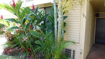 Apartment, 1 Schlafzimmer | Unterkunftsgelände