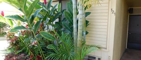 Condo, 1 Bedroom | Property grounds