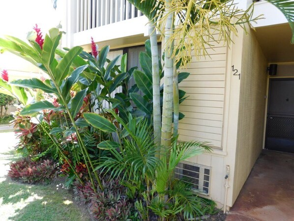 公寓客房, 1 間臥室 | 住宿地面