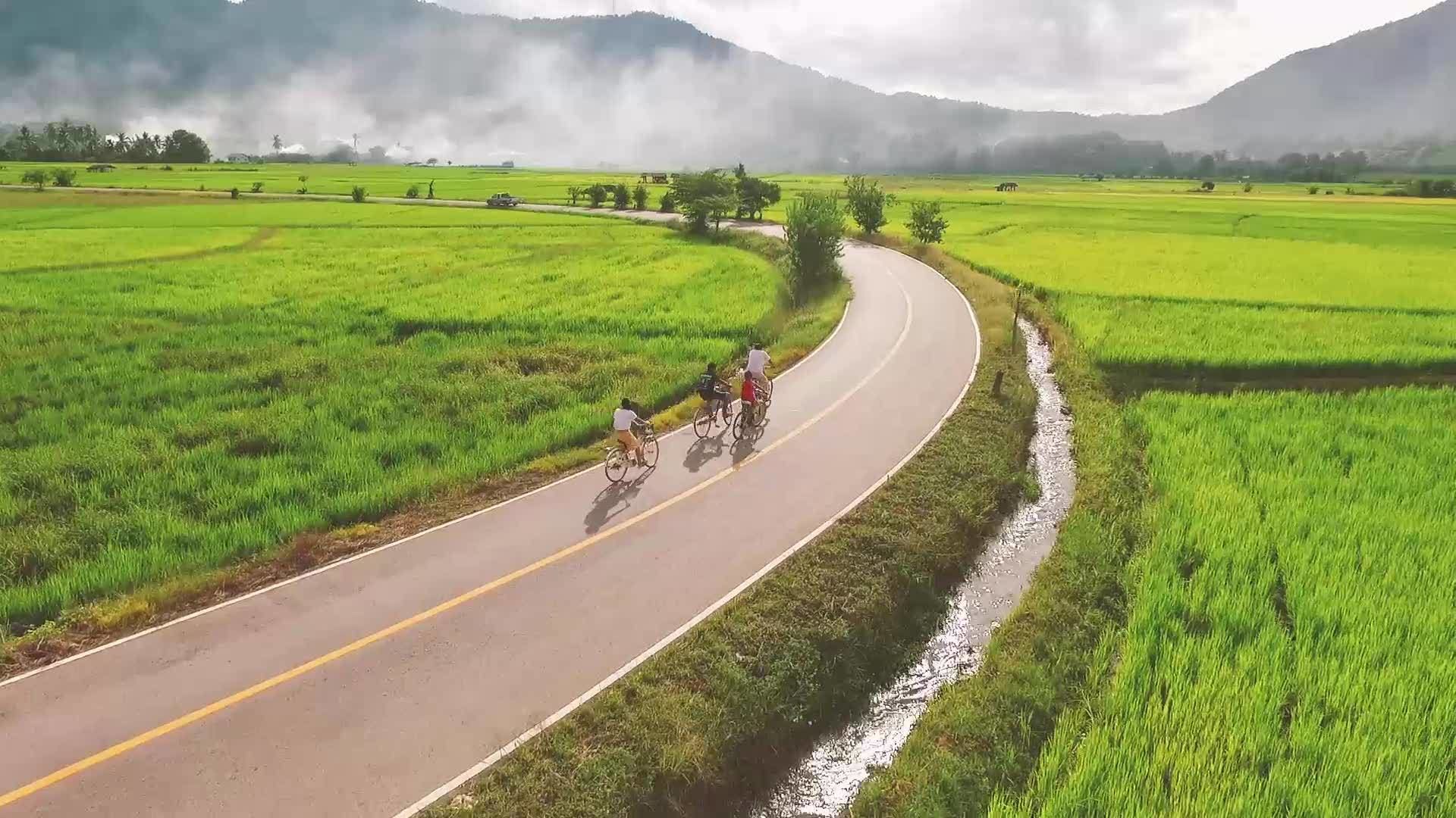 A rural road curving through green fields with a mountain in the background.