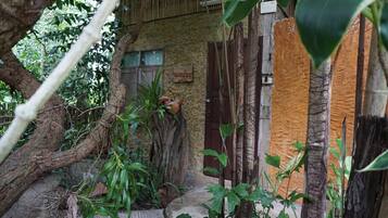 Standard Room | Terrace/patio